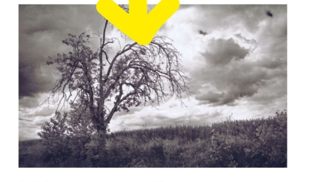 Výstava fotografií - Černobílé snění