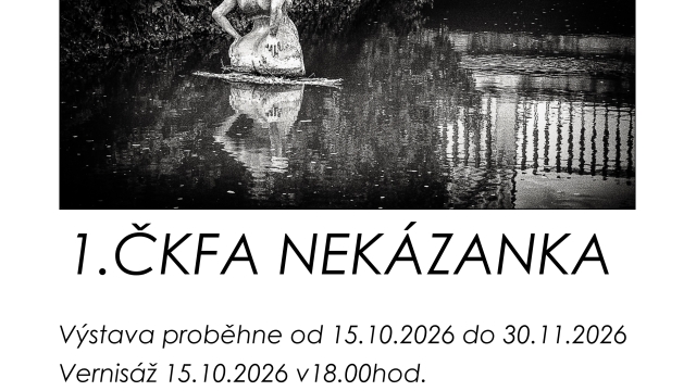 Podzimní fotografický salon.